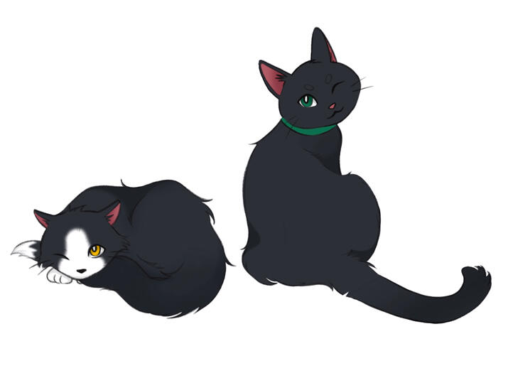 colored &amp; shaded